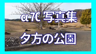 【α7C写真集】夕方の公園　きたがた四季の丘公園　佐賀県武雄市