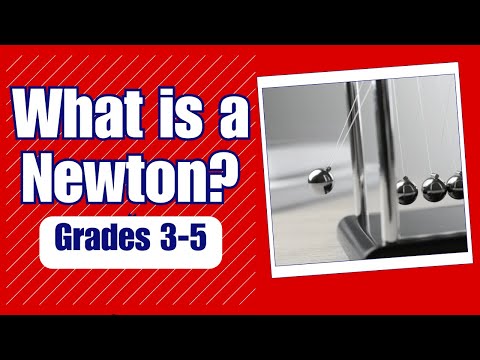 What are Newtons used to measure?