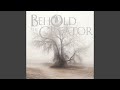 Fall Into Grace