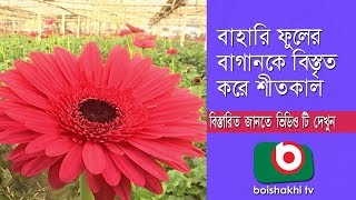 বাহারি ফুলের বাগানকে বিস্তৃত করে শীতকাল | Winter Season in Bangladesh Part 04 | Bangla News