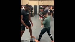 Francis Ngannou eats punches by a top UFC featherweight