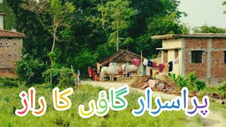 Mysterious Village Part 3 | Exploring Abandoned Mud Houses & Desert Life in Cholistan