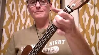 If No One Ever Marries Me (ukulele cover by leg1g) Natalie Merchant