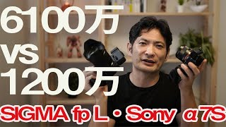 6100万画素・1200万画素のカメラ比較　SIGMA fp LとSony α7S