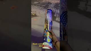 SUPREME fireworks 4 inch shell jim jim tara skyshot!!! #skyshot #diwali #diwali2024 #crackers #sony