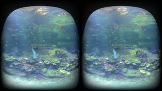 Nausicaa aquarium 180VR 3D