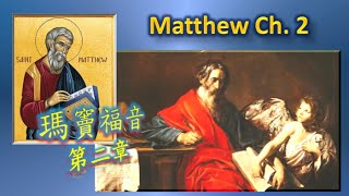 瑪竇福音 第二章 Matthew 一日一章聖經 47 Matthew02 #瑪竇福音 #廣東話天主教中文聖經 #cantonesebible #audiobible #靈修生活水泉耶穌基督