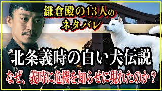 【鎌倉殿の13人】北条義時の白い犬伝説！なぜ、義時に危機を知らせに現れたのか？【歴史雑学】