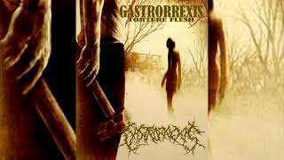 Gastrorrexis -  Rotten Humanity