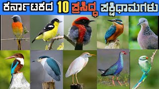 ಕರ್ನಾಟಕದ 10 ಪ್ರಸಿದ್ಧ ಪಕ್ಷಿಧಾಮಗಳು||10 famous bird sanctuary in karnataka||Bird sanctuary|| ಪಕ್ಷಿಧಾಮ||