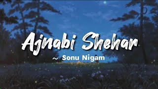 Ajnabi Shehar -lyrics || Sonu Nigam || Jaan-e-Mann || @LYRICS🖤