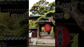 鎌倉市長谷寺へ#神社仏閣パワースポット #鎌倉観光 #紫陽花 #雨降り