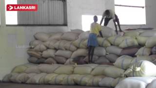 Paddy Procurement started in the warehouse