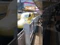 t4 ﾄﾞｸﾀｰｲｴﾛｰ 岡山駅 japan