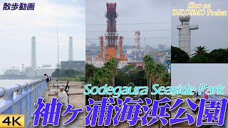 【袖ヶ浦】千葉フォルニア近くの袖ヶ浦海浜公園を散歩 Walk around Sodegaura Seaside Park, Japan. 【Osmo Pocket】