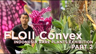 FLOII convex Indonesia part 2 - Brand new aroids, mind-blowing terrariums, and carnivorous plants!