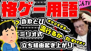 格ゲー用語の解説をすればするほど流行らない理由が浮かび上がり悲しくなるこくじん（2023/4/12）