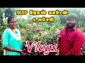 வீட்டில் வளர்க்கும் அழகு செடிகள் & பழச்செடிகள் கிடைக்கும் | MSP ROSE GARDEN & NURSERY | Rose | Agri