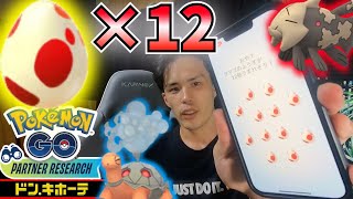 【ポケモンGO】12kmタマゴ12連孵化‼︎色違いを求めてパートナーリサーチもクリア‼︎地域限定が貰えるドン・キホーテは神‼︎