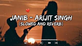 Janib || Arijit Singh || Slowed And Reverb || Tranding Lofi Song || Bollywood Lofi Songs