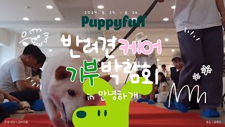 안녕하개🐶 EP.1 반려견케어기부박람회ㅣ유기견 아이들을 위해 준비했어요ㅣ참여 브랜드를 만나다.(대표님들 최고)