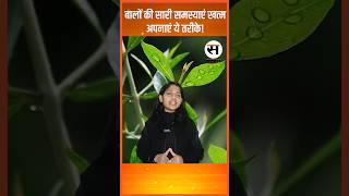 कमजोर, झड़ते और सफेद बाल ? 4 Tips ने किया कमाल | SANMARG SANJEEVANI