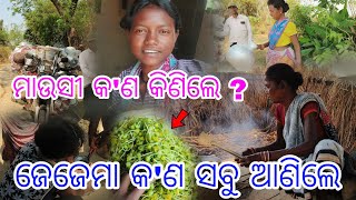 ଜେଜେମା କ'ଣ ସବୁ ଆଣିଲେ || ମାଉସୀ କ'ଣ କିଣିଲେ ?  @tribevloggerrani9457