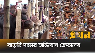 ভারত-মিয়ানমারের গরু ঢোকার শঙ্কায় খামারিরা | Cow Haat | Eidul Adha | Ekhon TV