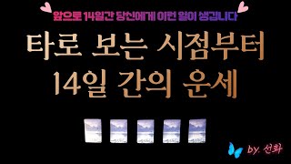 [타로/예언🙏] 앞으로 14일간 운세 !!