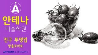 기초디자인 소묘 드로잉 강좌 [안테나미술학원] 전구 방울토마토 투명컵, 그림그리기, 연필소묘