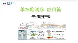 单细胞测序-应用篇-干细胞研究（Single Cell Sequencing - Application Chapter - Stem Cell Research）