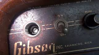 How to restore Vintage Gibson GA-20 tube guitar amp D-Lab electronics Part 1