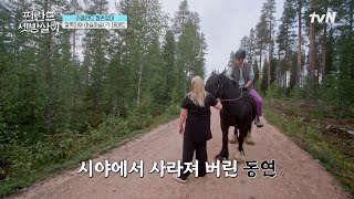 말: 이제부터 곽동연은 제 겁니다🐴 #핀란드셋방살이 EP.10 | tvN 250207 방송