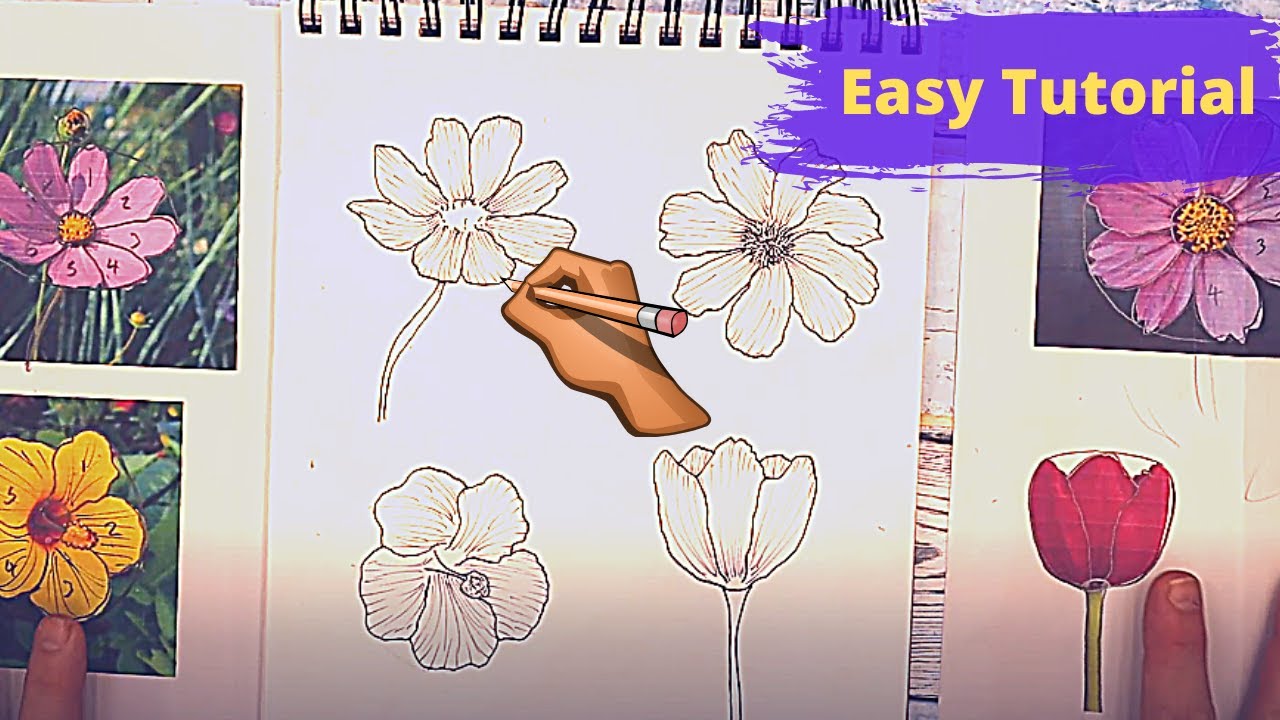 How To Draw Flowers From A Reference Picture. - YouTube