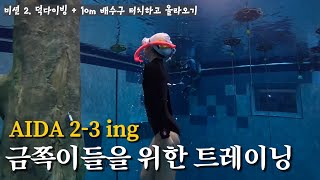 아직도 3레벨 ing 인 금쪽이들을 위한 트레이닝 꿀팁 대방출합니다😚🤘 | 프리다이빙 2-3레벨 다 모여🤍 | 이퀄라이징 성장기록