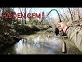 Fishing Houston's Most SECRET CREEK! (Surprise Catch!)