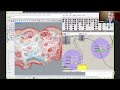 food4rhino webinar trmesh and trfem volumetric applications in geometry and simulation