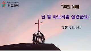 장흥 장동 교회 천기운 목사[난 참 바보처럼 살았군요!] 열왕기상11:1-11      2024.11.3