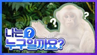 자연관찰 나는 누구일까요?ㅣExploring Nature Who am I? ㅣ원숭이ㅣMonkey