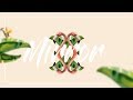 Mirror Effect | Scrollbar Animation | CSS - JQUERY Tutorial