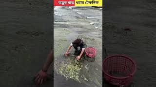 অদ্ভুত মাছ ধরার টেকনিক || Strange fishing technique || #shorts #short