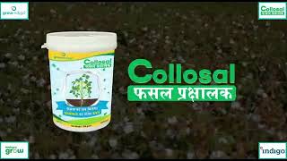 Best fungicide for your Crop!  सभी फसलों का सुरक्षा कवच।।