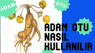 ADAM OTU NASIL KULLANILIR