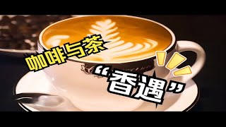 左手咖啡右手茶，两种世界饮品的“香遇”