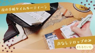 【テロップのみ】夜の手帳タイムはこんな感じだよ‼︎今日は珍しく声なしでお届け✨書く音をお楽しみ下さいませ🌃🌙