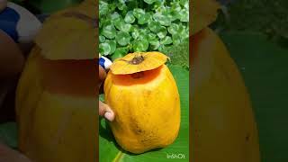 நம்ம தோட்டத்து பப்பாளி பழம்/Pappya Fruit#utubeshorts#trending