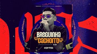 HEYTOR O BOYZINHO/ BREGUINHA CACHORRO 1.0 - PRA PAREDÃO 2025