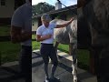 Fast and Easy Treatment for Horse Cannon Cruds with QuickDerm Spray