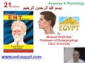 Larynx 1 (Mosaad Abdel-Aziz): Anatomy & Physiology of the Larynx