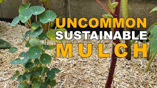 Conserving Water With Sustainable Mulch